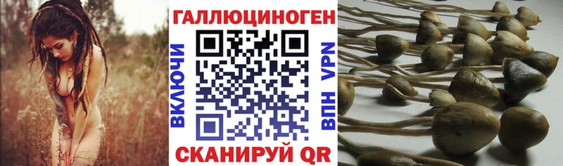 Галлюциногенные грибы GOLDEN TEACHER  Купить где  Красный Сулин 